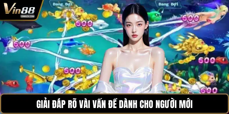 Giải đáp rõ vài vấn đề dành cho người mới